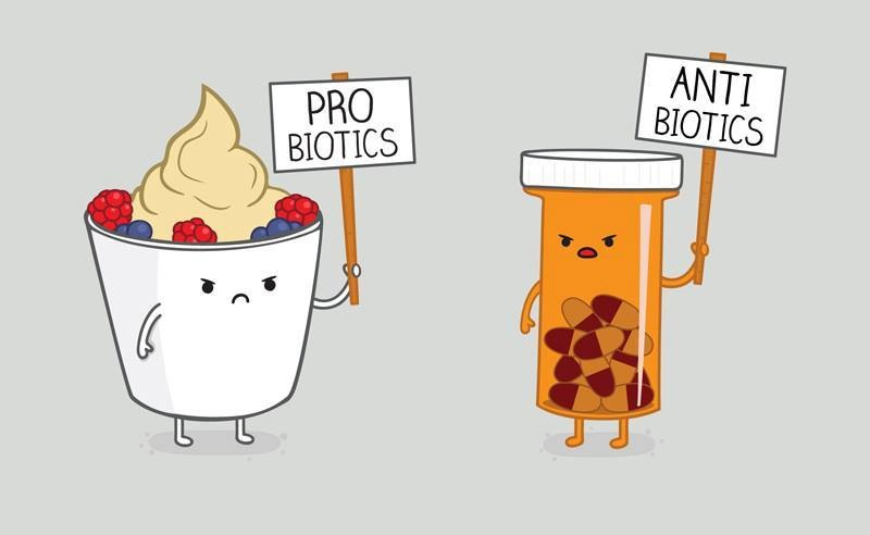 Probiotics versus antibiotics